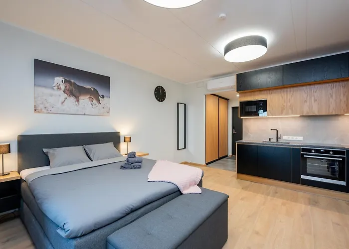 Apartament Tartukodu Riia 22-21 Tartu